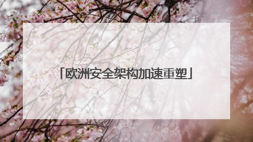 欧洲安全架构加速重塑