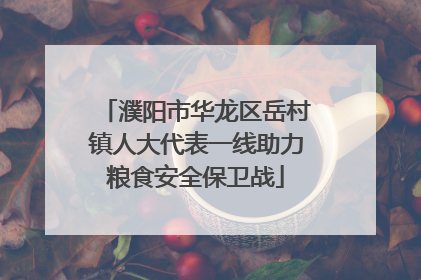 濮阳市华龙区岳村镇人大代表一线助力粮食安全保卫战