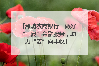 潍坊农商银行：做好“三夏”金融服务，助力“麦”向丰收