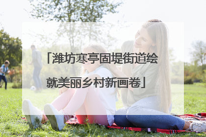 潍坊寒亭固堤街道绘就美丽乡村新画卷