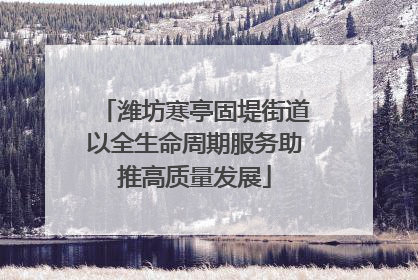 潍坊寒亭固堤街道以全生命周期服务助推高质量发展