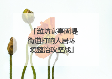 潍坊寒亭固堤街道打响人居环境整治攻坚战