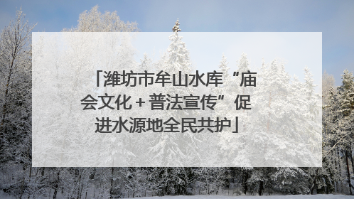 潍坊市牟山水库“庙会文化＋普法宣传”促进水源地全民共护