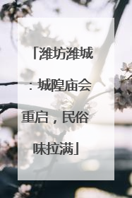 潍坊潍城：城隍庙会重启，民俗味拉满