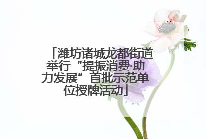 潍坊诸城龙都街道举行“提振消费·助力发展”首批示范单位授牌活动