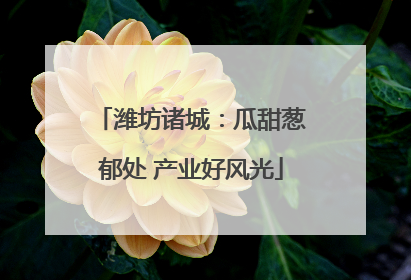 潍坊诸城：瓜甜葱郁处 产业好风光