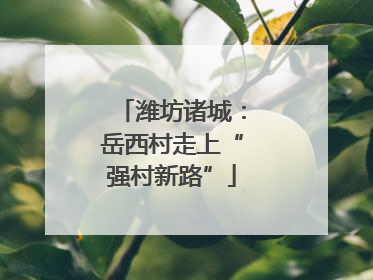 潍坊诸城：岳西村走上“强村新路”