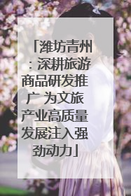 潍坊青州：深耕旅游商品研发推广 为文旅产业高质量发展注入强劲动力