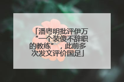 潘粤明批评伊万“一个装傻不辞职的教练”，此前多次发文评价国足