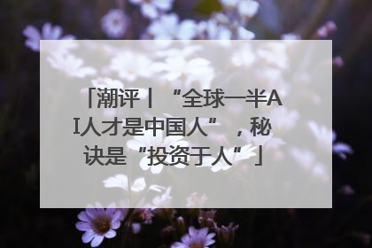 潮评丨“全球一半AI人才是中国人”，秘诀是“投资于人”