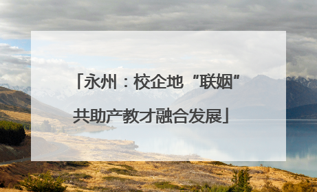 永州：校企地“联姻” 共助产教才融合发展