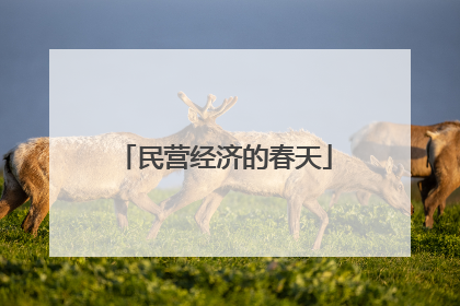 民营经济的春天