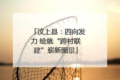 汶上县：四向发力 绘就“跨村联建”崭新图景