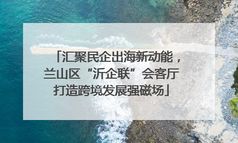 汇聚民企出海新动能，兰山区“沂企联”会客厅打造跨境发展强磁场