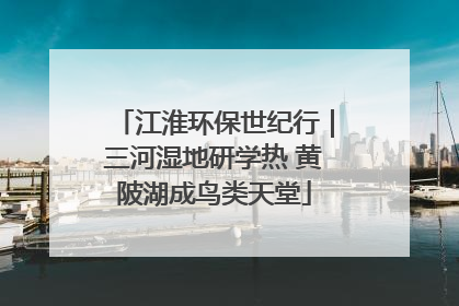 江淮环保世纪行｜三河湿地研学热 黄陂湖成鸟类天堂