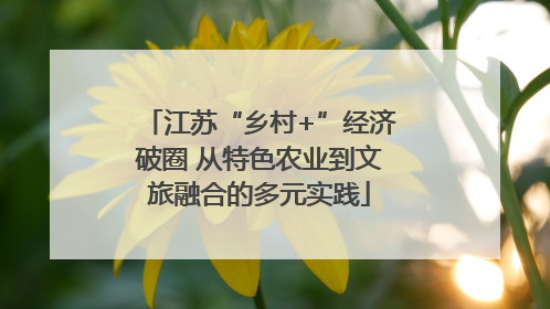 江苏“乡村+”经济破圈 从特色农业到文旅融合的多元实践