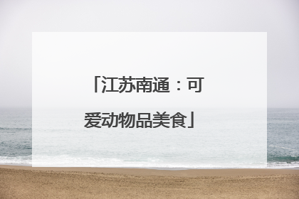 江苏南通：可爱动物品美食