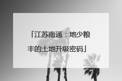 江苏南通：地少粮丰的土地升级密码
