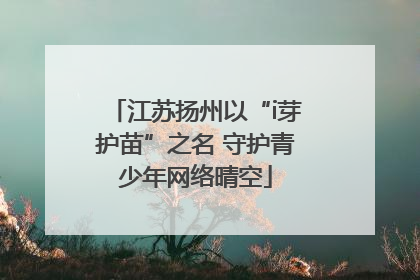 江苏扬州以“i芽护苗”之名 守护青少年网络晴空