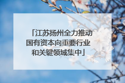 江苏扬州全力推动国有资本向重要行业和关键领域集中