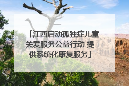 江西启动孤独症儿童关爱服务公益行动 提供系统化康复服务