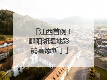江西首例！鄱阳湖湿地彩鹮喜添新丁