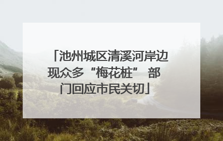 池州城区清溪河岸边现众多“梅花桩” 部门回应市民关切