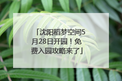 沈阳稻梦空间5月28日开园！免费入园攻略来了
