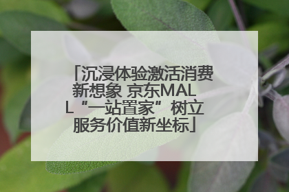 沉浸体验激活消费新想象 京东MALL“一站置家”树立服务价值新坐标