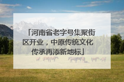 河南省老字号集聚街区开业，中原传统文化传承再添新地标