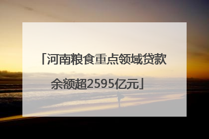河南粮食重点领域贷款余额超2595亿元