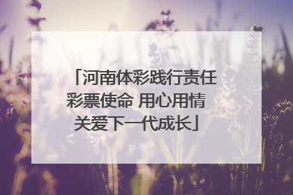 河南体彩践行责任彩票使命 用心用情关爱下一代成长