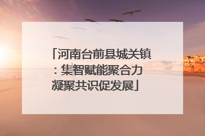 河南台前县城关镇：集智赋能聚合力 凝聚共识促发展