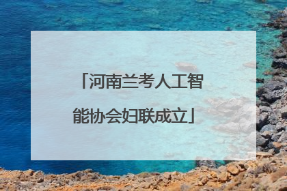 河南兰考人工智能协会妇联成立
