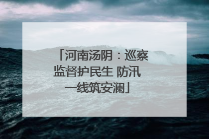 河南汤阴：巡察监督护民生 防汛一线筑安澜