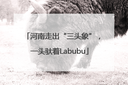 河南走出“三头象”，一头驮着Labubu