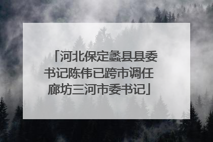 河北保定蠡县县委书记陈伟已跨市调任廊坊三河市委书记