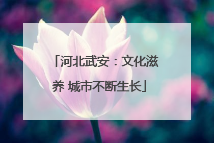 河北武安：文化滋养 城市不断生长