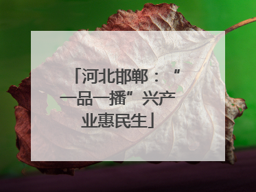 河北邯郸：“一品一播”兴产业惠民生