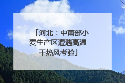河北：中南部小麦生产区遭遇高温干热风考验