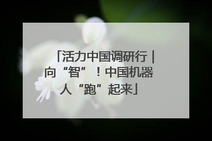 活力中国调研行｜向“智”！中国机器人“跑”起来