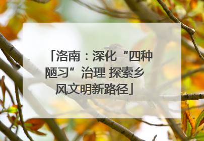 洛南：深化“四种陋习”治理 探索乡风文明新路径