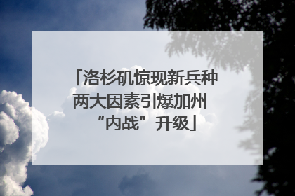 洛杉矶惊现新兵种 两大因素引爆加州“内战”升级