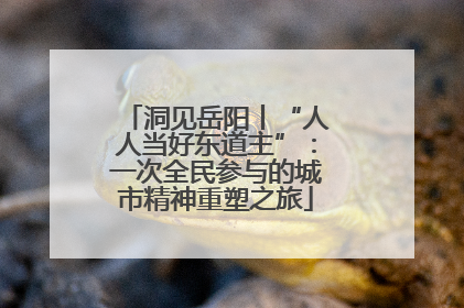 洞见岳阳丨“人人当好东道主”：一次全民参与的城市精神重塑之旅