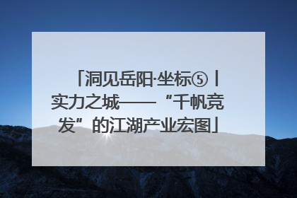 洞见岳阳·坐标⑤丨实力之城——“千帆竞发”的江湖产业宏图