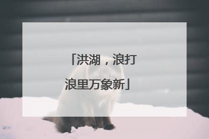 洪湖，浪打浪里万象新