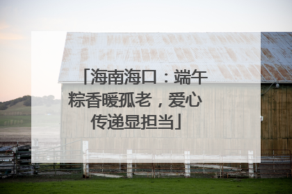海南海口：端午粽香暖孤老，爱心传递显担当