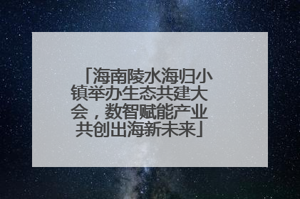海南陵水海归小镇举办生态共建大会，数智赋能产业共创出海新未来