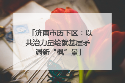 济南市历下区：以共治力量绘就基层矛调新“枫”景