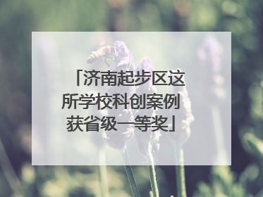 济南起步区这所学校科创案例获省级一等奖